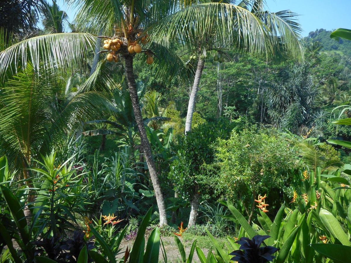 Cegeng Lestari Guesthouse Sidemen  Buitenkant foto