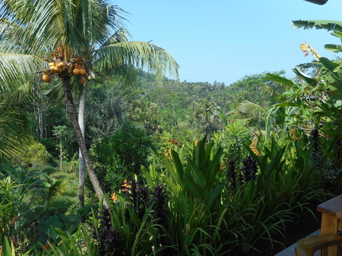 Cegeng Lestari Guesthouse Sidemen  Buitenkant foto