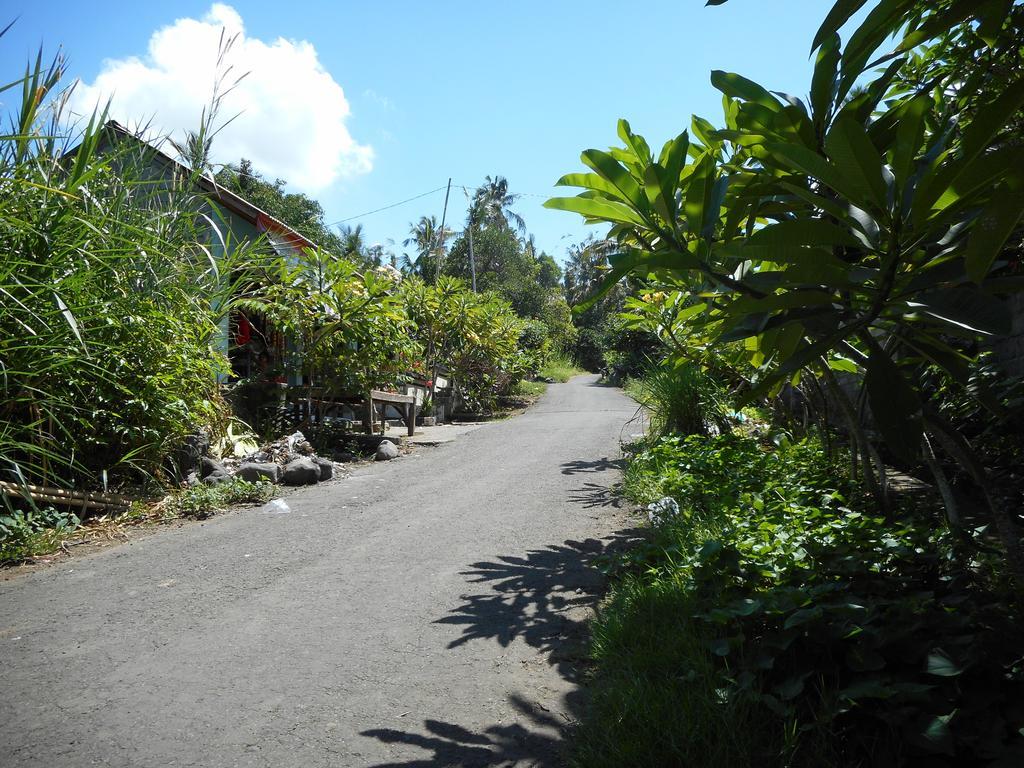 Cegeng Lestari Guesthouse Sidemen  Buitenkant foto